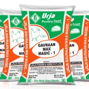Gavran max magic-1