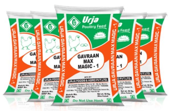 Gavran max magic-1