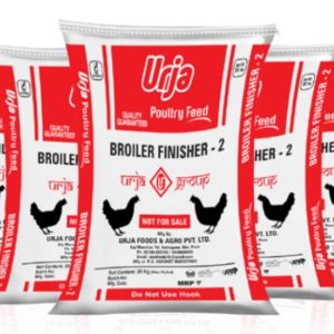 Broiler finisher-2