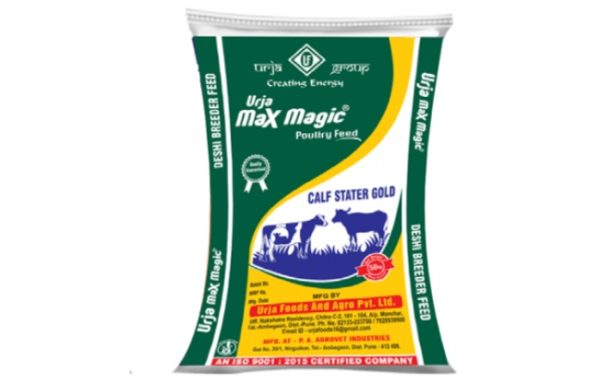 Calf stater gold